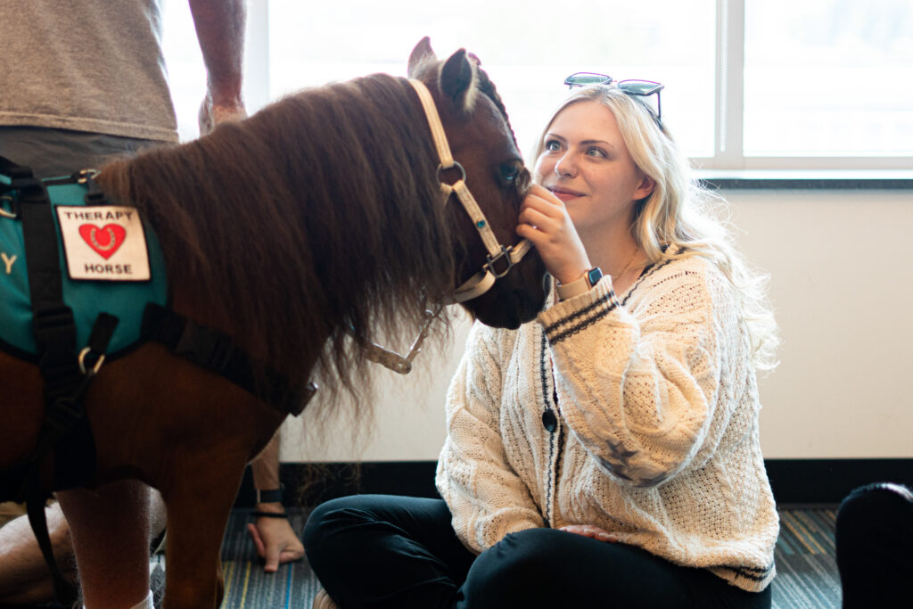 A person gently touches the face of a small brown horse wearing a teal "Therapy Horse" vest.