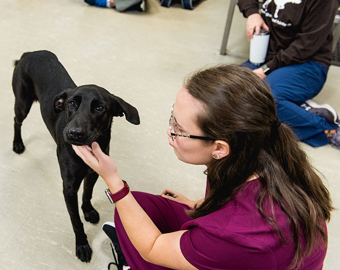 Woman petting black dog