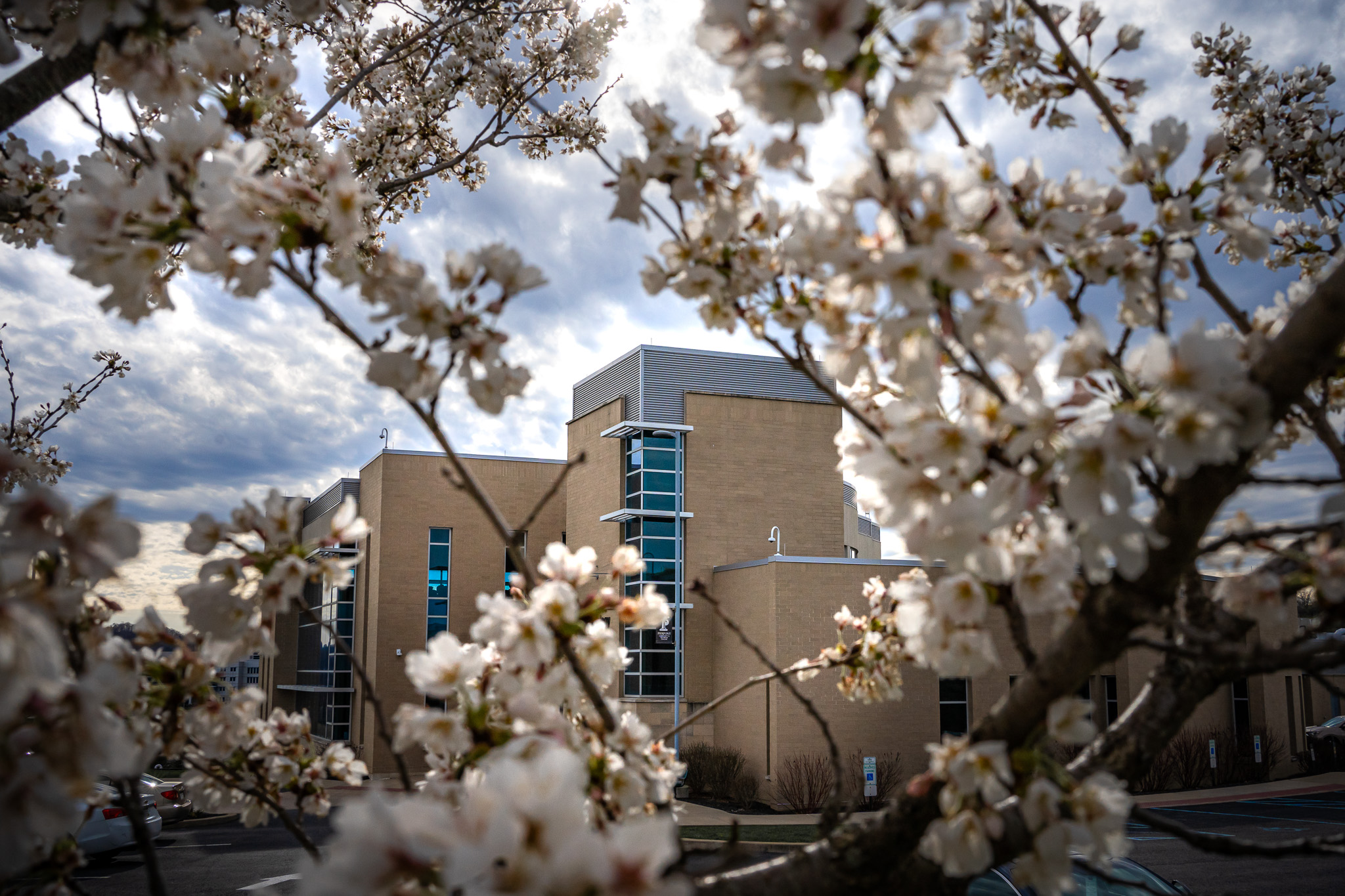 Pierpont's Advanced Technology Center is framed by white flowers with an overcast sky.