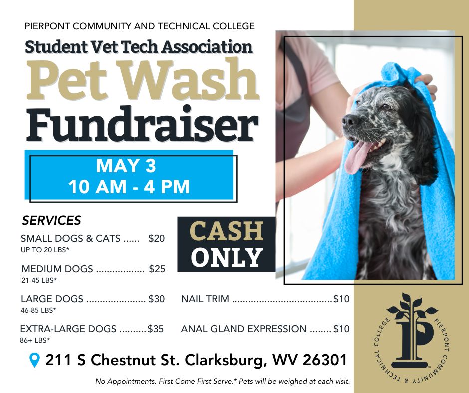Pet Wash Fundraiser