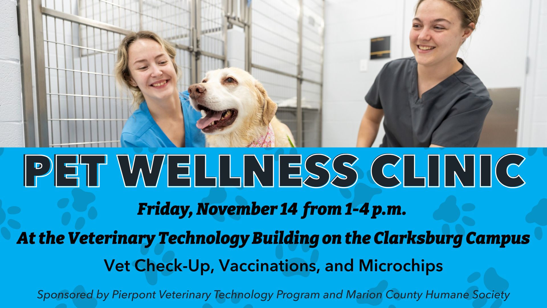 Pet Wellness Clinic